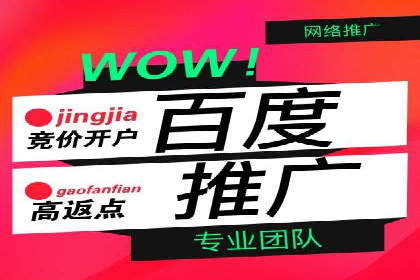 竞价排名广告投放案例